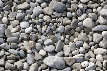 Kies am Isarstrand 2019135