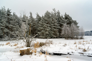 Piękna zima na Podlasiu