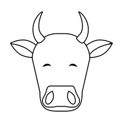 Indian cow head