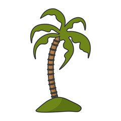 Isolated palm tree