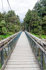 Suspended Bridge, Lake Matheson Track, New Zealand, South Island, NZ
