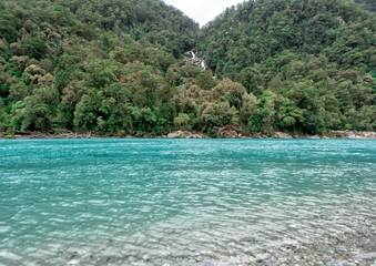 Roaring Billy Falls Track, New Zealand, South Island, NZ