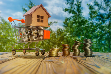 house, trolley from the hypermarket, cash coins on a wooden table on the background of vegetation. sales. realty.