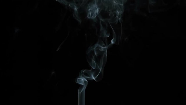 Slow Blue-Gray Smoke. White clearly expressed smoke slowly rises from the bottom of the screen and forms elegant twists on a black background. Filmed at a speed of 240fps
