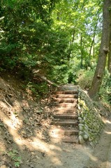 Obraz premium Steps path