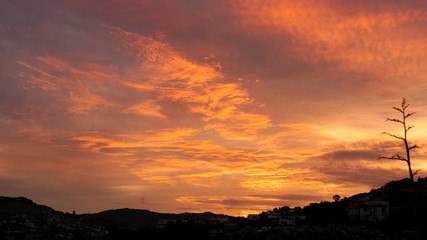 Wellington sunset over the west