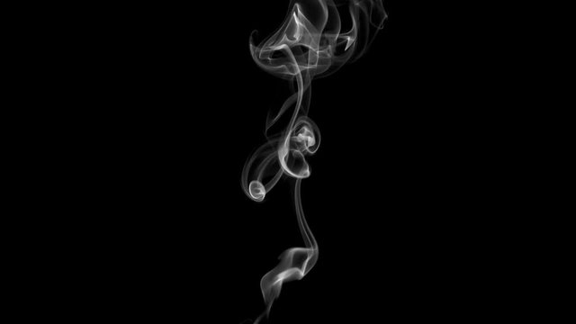 Smoke Gracefully Twists on Black. White clearly expressed smoke slowly rises from the bottom of the screen and forms elegant twists on a black background. Filmed at a speed of 240fps