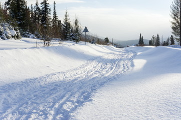 Fototapeta na wymiar Snow-covered rural road leads to the village among the coniferous forest.