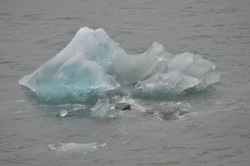 Floating Iceberg