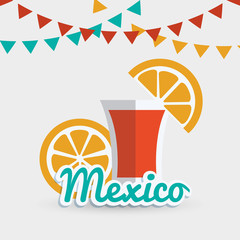 Mexican culture design 