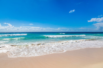 An idyllic sandy beach on the Caribbean island of Barbados