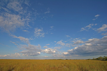 Sawgrass expanse in Everglades National Park, Florida, from the Pa-Hay-Okee boardwalk under a beautiful autumn cloudscape.