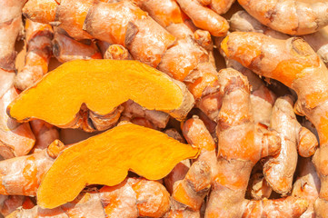 Herb plants, turmeric, Curcuma longa.