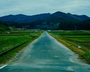 田舎道　農道