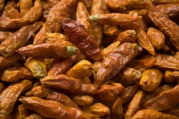 Dried red hot chili peppers