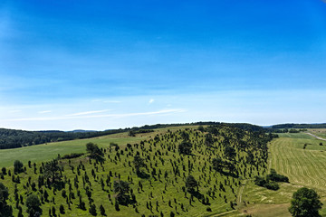 Eifel NRW Kalvarienberg Ripsdorf Wachholder