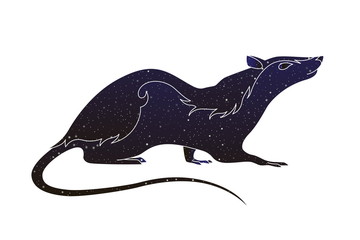 Pets rodent. Vector line rat animal illustration, night sky color silhouette isolated on white background