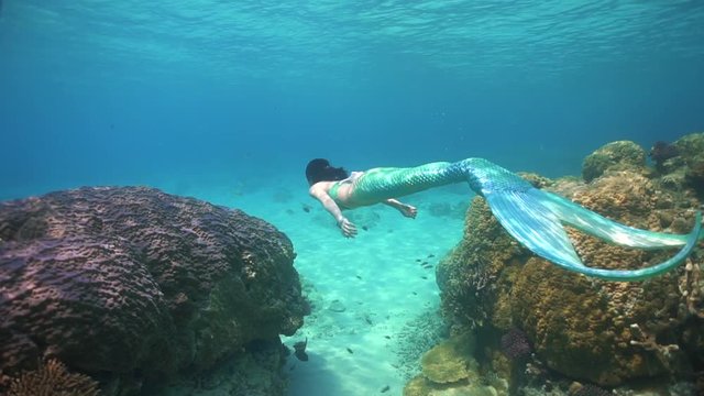 綺麗な海で泳ぐ人魚