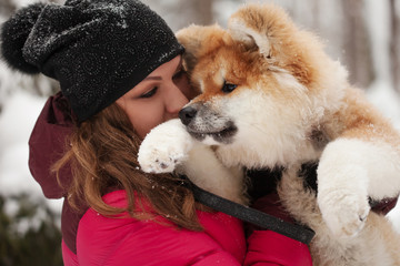 Portrait of a cute fluffy puppy. Akita inu with long hair.