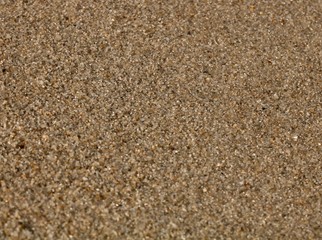 Close up of Wet Sand on Beach in Belize