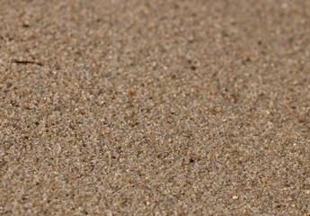Fototapeta na wymiar Close up of Wet Sand on Beach in Belize
