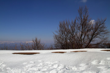 neve ed alberi in montagna