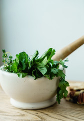 mortar with fresh herbs