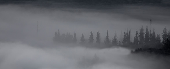 A Landscape in a Cloud