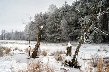 Piękna zima na Podlasiu, Polska © podlaski49