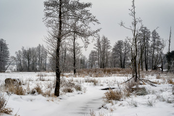 Piękna zima na Podlasiu, Polska