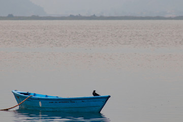 Bird on a blue wooden boat in Pokhara lake in Nepal