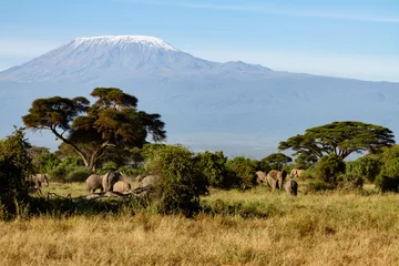 Fototapete Kilimandscharo Kilimandscharo