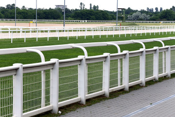 Treated green grass ready for gallop racing on the racing weekend