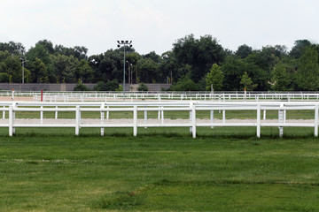 Treated green grass ready for gallop racing on the racing weekend