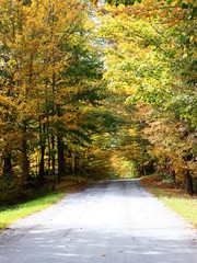 Country Road in Fall in Eastern Townships, Quebec, Canada