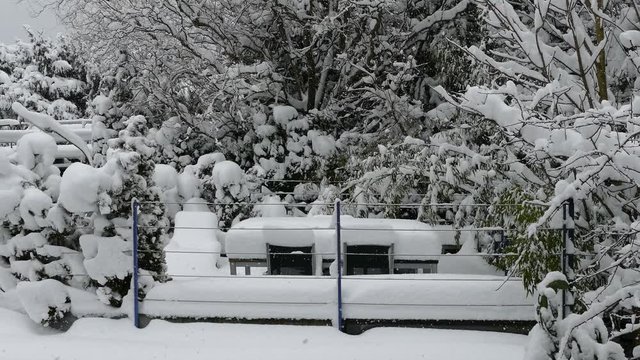 Utting am Ammersee, Winter, Schnee, Bayern