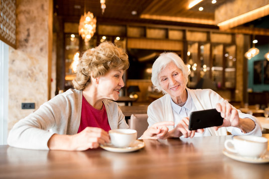 Positive attractive mature women in casual clothing sitting at table and viewing photos on gadget while chatting in modern cafe