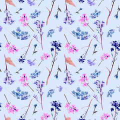 Hand drawn watercolor seamless pattern with meadow small flowers and herbs on blue background
