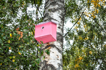 Birdhouse on a tree