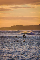 Surfen bei Dämmerung auf Hawaii, Oahu