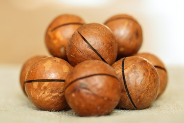 Ripe macadamia nuts scattered on the table.