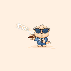 dog cub in business suit sunglasses smoking cigar