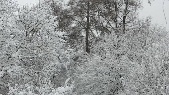 Utting am Ammersee, Winter, Schnee, Bayern