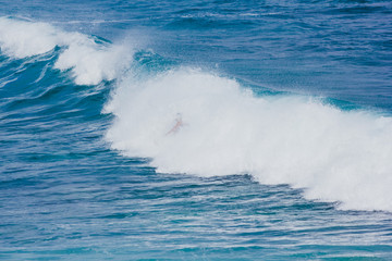 Surfer auf großer Welle auf Hawaii, Oahu