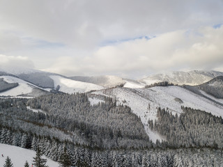 Snowy forest on the mountain slopes of Slovakia. Aerial view 