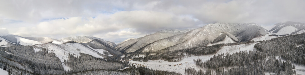 Fototapeta premium Śnieżny las na górskich stokach Słowacji. Widok z lotu ptaka