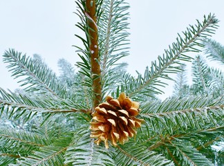 Gold pine cone ornament 