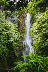 Naklejka na ściany i meble Wasserfall an der Road to hana Hawaii, Oahu