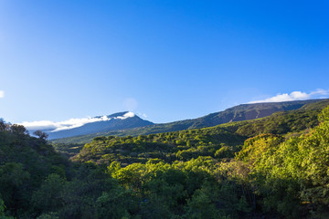 Hawaii, Oahu
