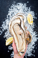 Fresh large rock oyster offered in a woman hand as closeup opened with sliced lemon on crushed ice...